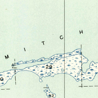 United States Geological Survey Mitchell Island, LA (1954, 31680-Scale) digital map