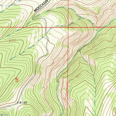 United States Geological Survey Moccasin Lake, WY (1981, 24000-Scale) digital map