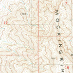 United States Geological Survey Mockingbird Gap, NM (1982, 24000-Scale) digital map