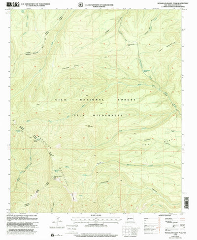 United States Geological Survey Mogollon Baldy Peak, NM (1999, 24000-Scale) digital map