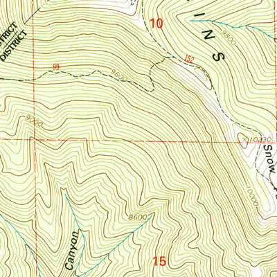 United States Geological Survey Mogollon Baldy Peak, NM (1999, 24000-Scale) digital map