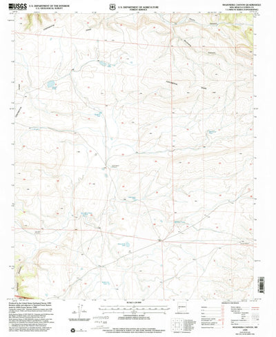 United States Geological Survey Mojonera Canyon, NM (1999, 24000-Scale) digital map