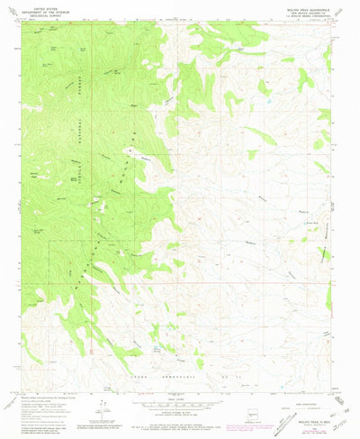 United States Geological Survey Molino Peak, NM (1965, 24000-Scale) digital map