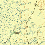 United States Geological Survey Moniac, GA-FL (1918, 62500-Scale) digital map