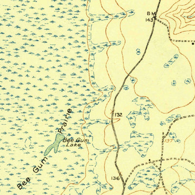 United States Geological Survey Moniac, GA-FL (1918, 62500-Scale) digital map