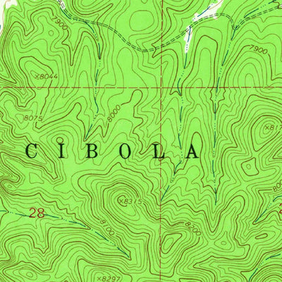 United States Geological Survey Monica Saddle, NM (1964, 24000-Scale) digital map