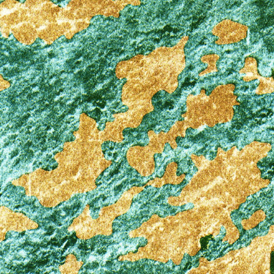 United States Geological Survey Monroe Station, FL (1973, 24000-Scale) digital map