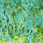 United States Geological Survey Monroe Station NE, FL (1972, 24000-Scale) digital map