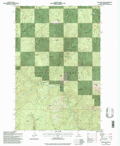 United States Geological Survey Montana Peak, ID (1995, 24000-Scale) digital map
