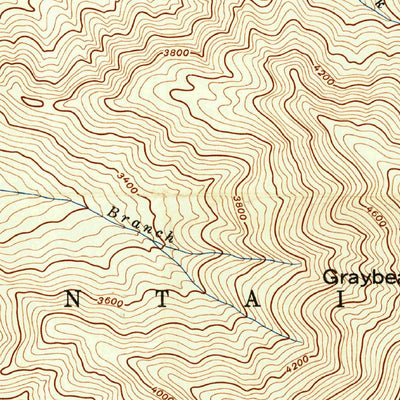 United States Geological Survey Montreat, NC (1943, 24000-Scale) digital map