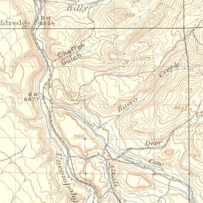 United States Geological Survey Montrose, CO (1909, 125000-Scale) digital map
