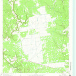 United States Geological Survey Morales, TX (1964, 24000-Scale) digital map