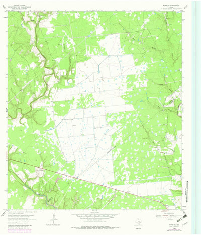 United States Geological Survey Morales, TX (1964, 24000-Scale) digital map