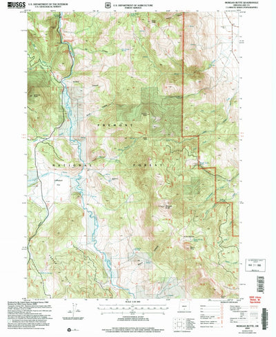 United States Geological Survey Morgan Butte, OR (2004, 24000-Scale) digital map