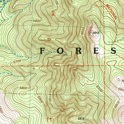 United States Geological Survey Morgan Butte, OR (2004, 24000-Scale) digital map