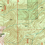 United States Geological Survey Morgan Butte, OR (2004, 24000-Scale) digital map