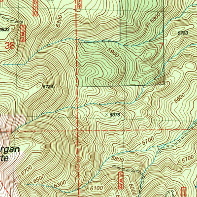 United States Geological Survey Morgan Butte, OR (2004, 24000-Scale) digital map