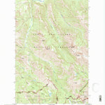 United States Geological Survey Morningstar Mountain, MT (1995, 24000-Scale) digital map