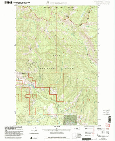 United States Geological Survey Morrell Mountain, MT (1999, 24000-Scale) digital map