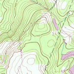 United States Geological Survey Morris, NY (1943, 24000-Scale) digital map