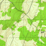 United States Geological Survey Morris, NY (1945, 31680-Scale) digital map