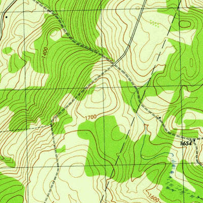 United States Geological Survey Morris, NY (1945, 31680-Scale) digital map