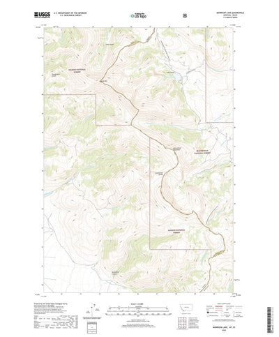United States Geological Survey Morrison Lake, MT (2020, 24000-Scale) digital map
