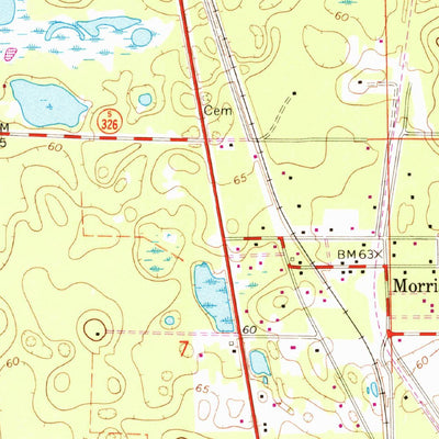 United States Geological Survey Morriston, FL (1969, 24000-Scale) digital map