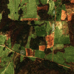 United States Geological Survey Morses Line Station, VT (1977, 25000-Scale) digital map