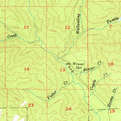 United States Geological Survey Morton, WA (1957, 62500-Scale) digital map