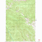 United States Geological Survey Mount Angeles, WA (1999, 24000-Scale) digital map