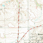 United States Geological Survey Mount Auburn, IL (1982, 24000-Scale) digital map