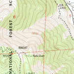 United States Geological Survey Mount Dana, CA (1992, 24000-Scale) digital map