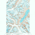 United States Geological Survey Mount Fairweather D-4, AK (1961, 63360-Scale) digital map