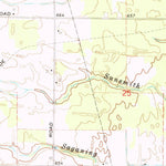 United States Geological Survey Mount Forest, MI (1967, 24000-Scale) digital map