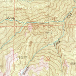 United States Geological Survey Mount Grant, NV (1989, 24000-Scale) digital map
