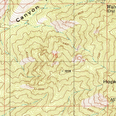 United States Geological Survey Mount Hopkins, AZ (1981, 24000-Scale) digital map