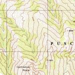 United States Geological Survey Mount Lemmon, AZ (1996, 24000-Scale) digital map