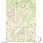 United States Geological Survey Mount Lyall, WA (2004, 24000-Scale) digital map