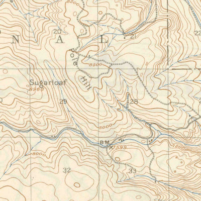 United States Geological Survey Mount Olympus, CO (1907, 62500-Scale) digital map