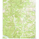 United States Geological Survey Mount Pleasant, AR (1942, 24000-Scale) digital map