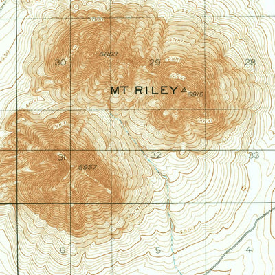 United States Geological Survey Mount Riley, NM (1917, 62500-Scale) digital map