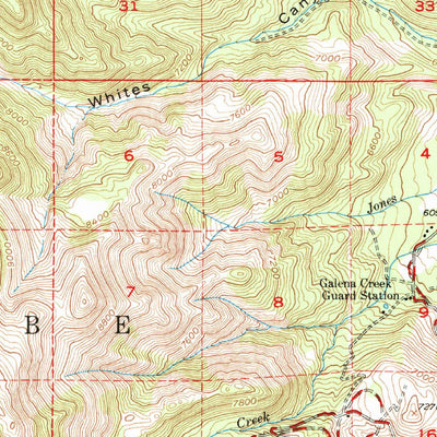 United States Geological Survey Mount Rose, NV (1950, 62500-Scale) digital map