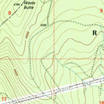 United States Geological Survey Mount Wilson, OR (1996, 24000-Scale) digital map