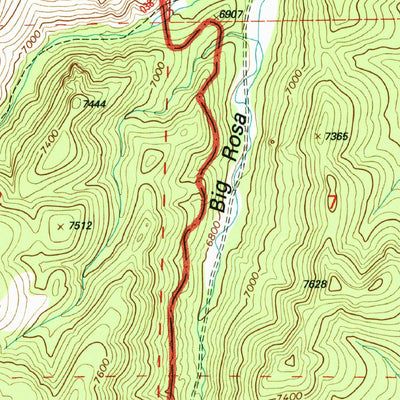 United States Geological Survey Mount Withington, NM (1995, 24000-Scale) digital map