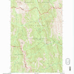 United States Geological Survey Mount Wright, MT (1995, 24000-Scale) digital map