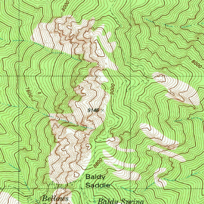 United States Geological Survey Mount Wrightson, AZ (1981, 24000-Scale) digital map