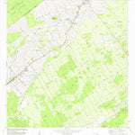 United States Geological Survey Mountain View, HI (1981, 24000-Scale) digital map