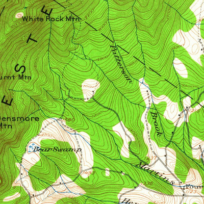 United States Geological Survey Mountpelier, VT (1919, 62500-Scale) digital map