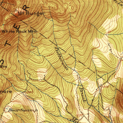 United States Geological Survey Mountpelier, VT (1921, 62500-Scale) digital map